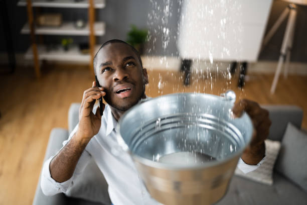 Best Professional water damage repair  in Edna, TX