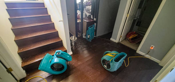Best Local water damage restoration  in Edna, TX