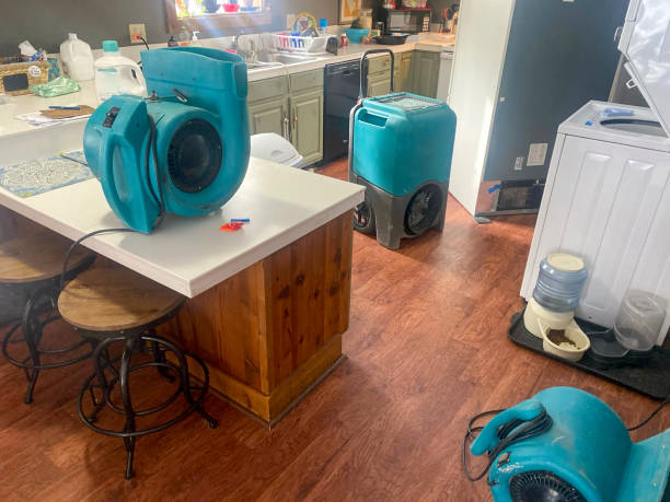Best Flood damage cleanup  in Edna, TX