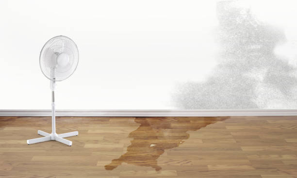 Best 24/7 water damage repair  in Edna, TX