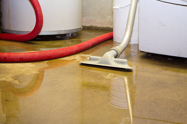 Best 24-hour water damage restoration  in Edna, TX