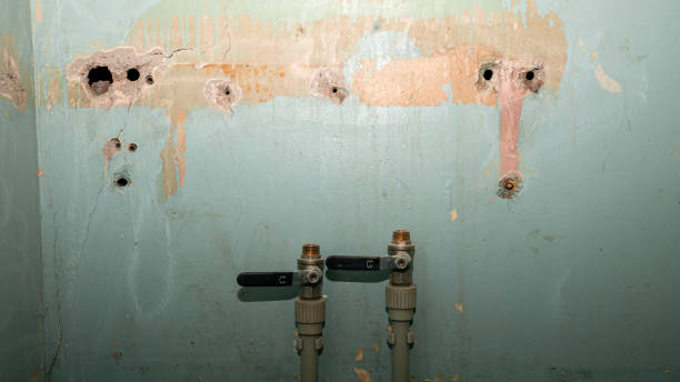 Best Residential water damage restoration  in Edna, TX