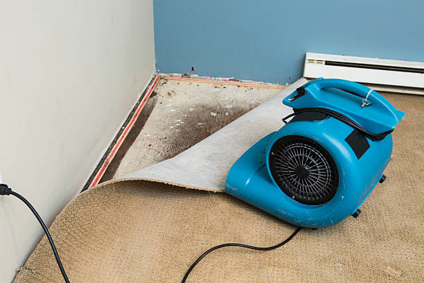 Best Water damage restoration near me  in Edna, TX